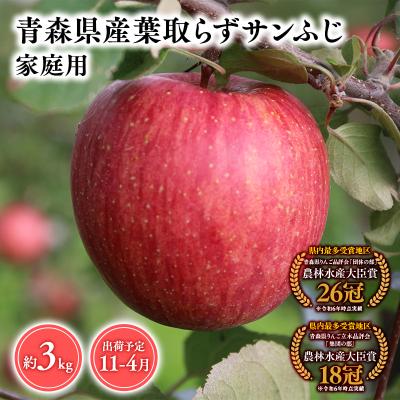ふるさと納税 平川市 11月〜4月発送 [訳あり]家庭用葉とらずサンふじ3kg [そと川りんご園・りんご]