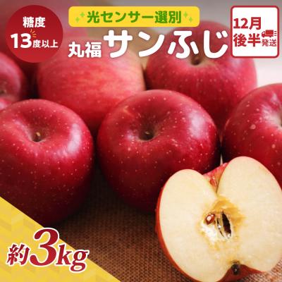 ふるさと納税 五所川原市 りんご サンふじ 約3kg 12月後半発送 光センサー 選果 糖度13度以上 丸福 青森 リンゴ