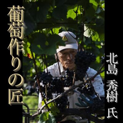 ふるさと納税 余市町 【ワイン】葡萄作りの匠「北島秀樹」&「宍戸富二