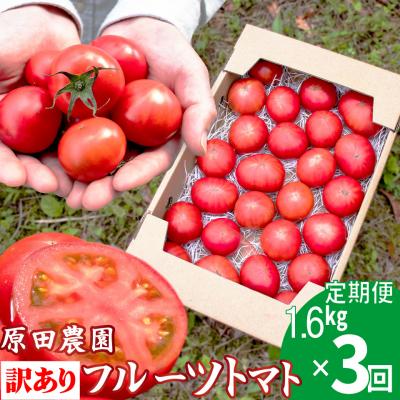 ふるさと納税 佐川町 [2026年12月下旬〜順次発送][3回定期便] 訳あり フルーツトマト 原田農園 1.6kg
