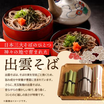 ふるさと納税 出雲市 打ち立てる百年老舗の味 児玉製麺「大収容能力!全5種53人前!出雲目の前・和麺詰め合わせ」食べ比べ・長期間保護すること