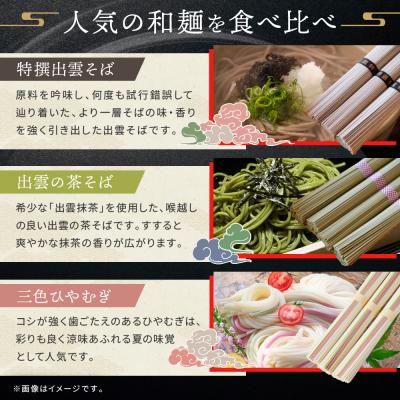 ふるさと納税 出雲市 打ち立てる百年老舗の味 児玉製麺「大収容能力!全5種53人前!出雲目の前・和麺詰め合わせ」食べ比べ・長期間保護すること