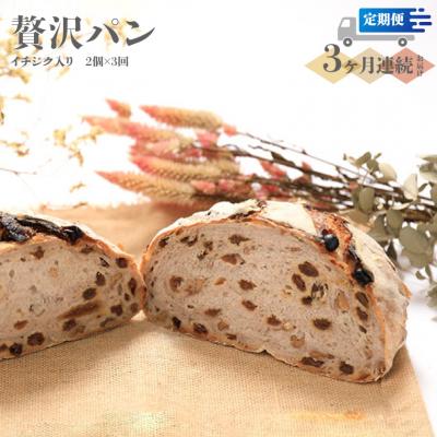 ふるさと納税 佐川町 [定期便/3回]イチジク入り☆限定!贅沢パン