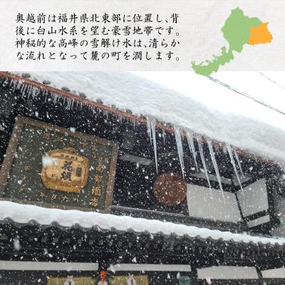 ふるさと納税 大野市 【3ヶ月連続お届け】奥越前の水 PET2L×6本 計3回の画像