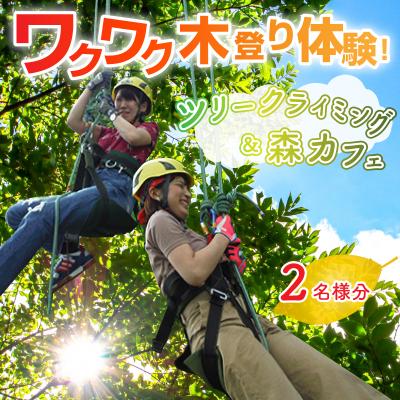 ふるさと納税 大野市 ワクワク 木登り体験!ツリークライング&amp;森カフェ2名様分