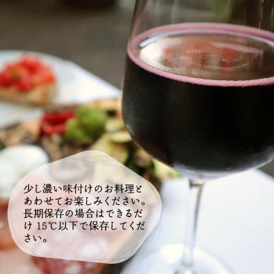ふるさと納税 大野市 白山やまぶどうブドウ酒樽(木九鼎大呂)