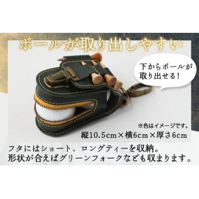 ふるさと納税 大野市 【5色から選べる】ボールが取出しやすい ゴルフボールケース 白_1