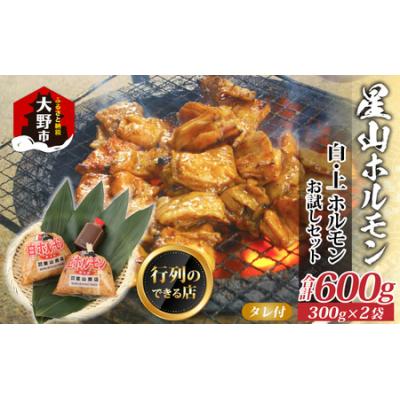 ふるさと納税 大野市 [全国ホルモン大会初代優勝] 星山ホルモン 白 ミックス 600g (各300g・たれ付)