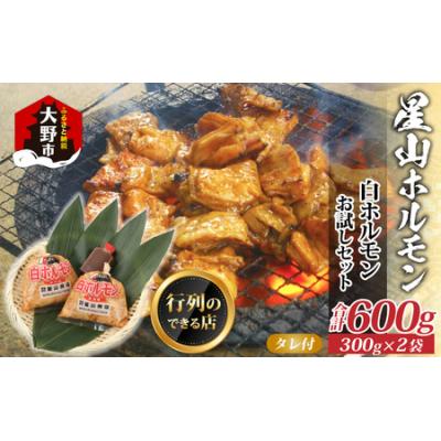 ふるさと納税 大野市 [全国ホルモン大会初代優勝] 星山ホルモン 白 ホルモン 600g (300g×2袋・たれ付)