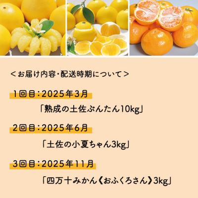 ふるさと納税 四万十市 【早期受付・数量限定・3回定期便】高知 ふるさと納税 四万十市 【早期受付・数量限定・3回定期便】高知