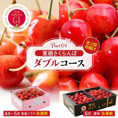 ふるさと納税 東根市 [先行受付]東根さくらんぼ ダブルコース (佐藤錦加温500g、露地900g) hi001-044