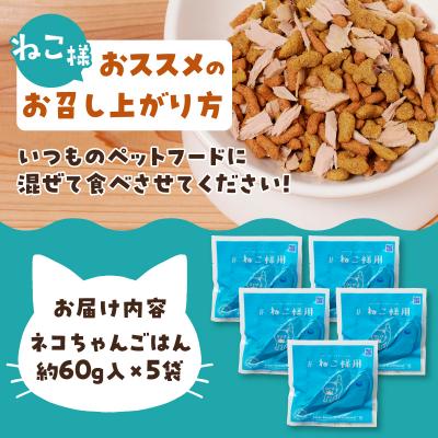 ふるさと納税 焼津市 ねこ様用5点セット(a10-1133)の画像