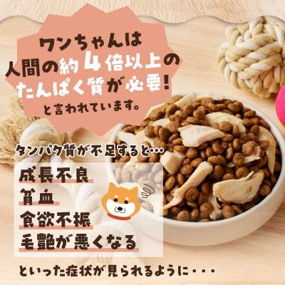ふるさと納税 焼津市 わんこ様用15点セット(a30-298)の画像