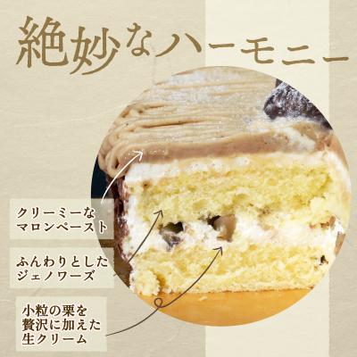 ふるさと納税 愛南町 モンブラン 13cm ケーキ スイーツ 栗 おいしい