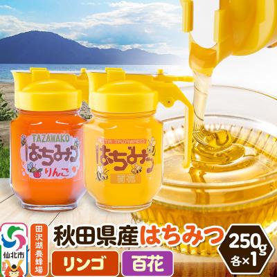 ふるさと納税 仙北市 秋田県産はちみつ(リンゴ・百花)250g×各1本 詰め合わせ|02_tyj-360201