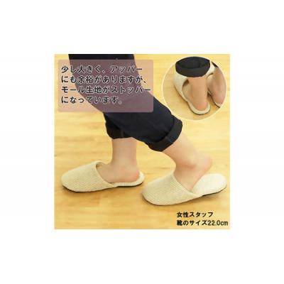 ふるさと納税 蔵王町 ソフトモールスリッパFサイズ(約24.5cmまで)2足セット 【04301-0348】の画像