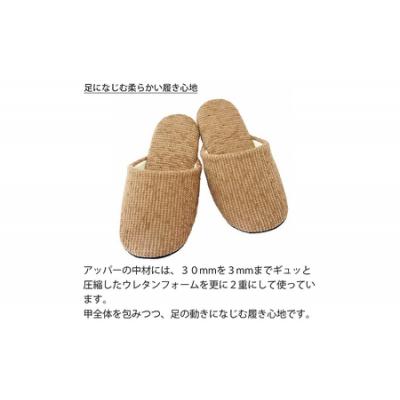 ふるさと納税 蔵王町 ソフトモールスリッパFサイズ(約24.5cmまで)2足セット 【04301-0348】の画像