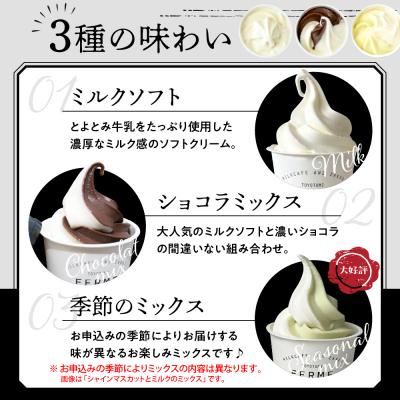 ふるさと納税 豊富町 とよとみ牛乳ソフトクリーム【ミルク/ショコラミックス/季節のミックス 各120ml 計12個】_2