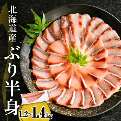 ふるさと納税 えりも町 えりも[マルデン特製]北海道日高産ぶり半身1.2〜1.4kg[er002-077-ss]