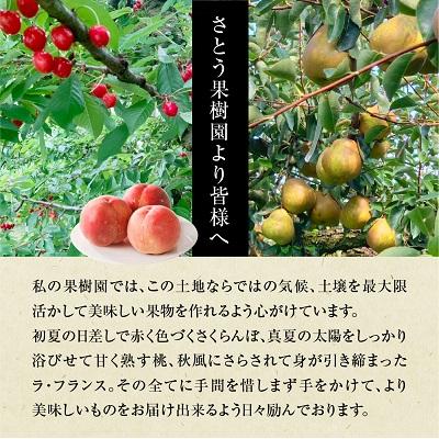 ふるさと納税 上山市 山形県上山市産 白桃(品種おまかせ)3kg 0136-2601の画像