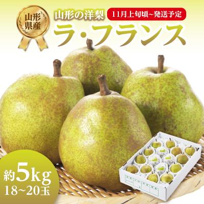 ふるさと納税 大江町 [先行受付]ラフランス 約5kg(18〜20玉)[2026年11月上旬頃〜発送予定] 001-082
