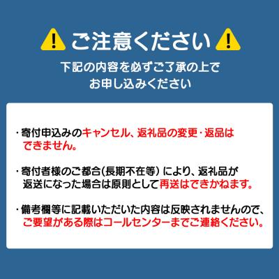 ふるさと納税 積丹町 【2026年夏発送分】先行受付開始 バフンウニ100g×1パックの画像