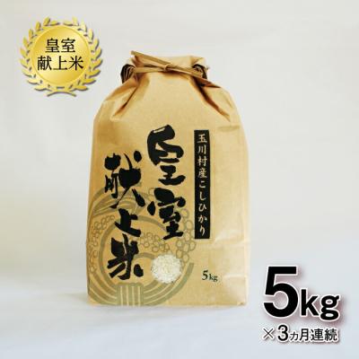 ふるさと納税 玉川村 [3ヶ月連続]玉川村産コシヒカリ 5kg こめ コメ FT18-270