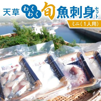 ふるさと納税 天草市 天草わくわく旬魚刺身セットミニ(1人用)