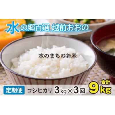 ふるさと納税 大野市 [令和7年産][3ヶ月定期便]こしひかり 3kg×3回 計9kg[白米]「エコファーマー米」