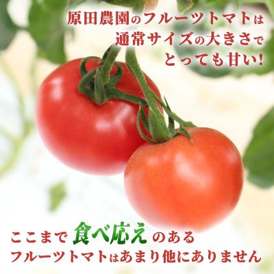 ふるさと納税 みどり市 フルーツトマト糖十郎(Mサイズ)　2027年3月~5月中旬発送【a010】_2