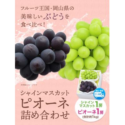 ふるさと納税 笠岡市 シャインマスカット・ピオーネ詰合せ約1kg 令和8年産先行受付 H-21a