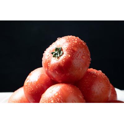 ふるさと納税 東広島市 アグライズ トマト撫子 約4kg【配送時期:6月〜12月】【冷蔵配送:6月〜10月】_1