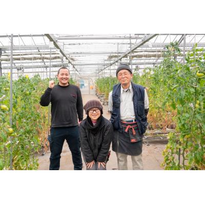 ふるさと納税 東広島市 アグライズ トマト撫子 約4kg【配送時期:6月〜12月】【冷蔵配送:6月〜10月】_3