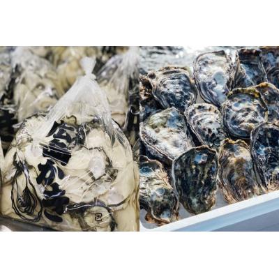 ふるさと納税 東広島市 むき身牡蠣300g&amp;殻付き牡蠣(8個〜10個)[配送時期:2026年1月上旬〜2026年4月上旬]