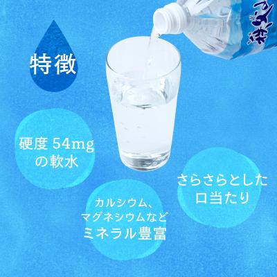 ふるさと納税 横瀬町 【定期便】秩父の天然水「秩父山水」2L×20本×3回_2