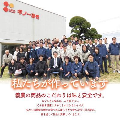 ふるさと納税 松前町 松山昭和ミートソース 100g×8個　ギノーみそ【GNM028】_2