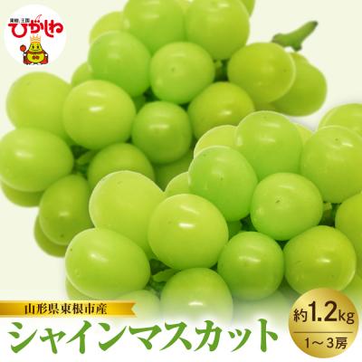 ふるさと納税 東根市 [2026年産]東根市産 シャインマスカット 約1.2kg (1〜3房) hi074-013