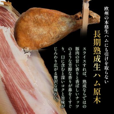 ふるさと納税 太良町 N450A長期熟成生ハム原木1本 長期熟成 生ハム 生