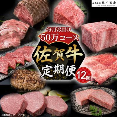 ふるさと納税 太良町 佐賀牛 毎月お届け便 50万コース 定期便 12回Z2