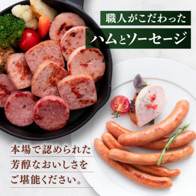 ふるさと納税 糸島市 マイスターギフトセット 10種詰め合わせ (ハム/ソーセージ/ウインナー) [AAC001]