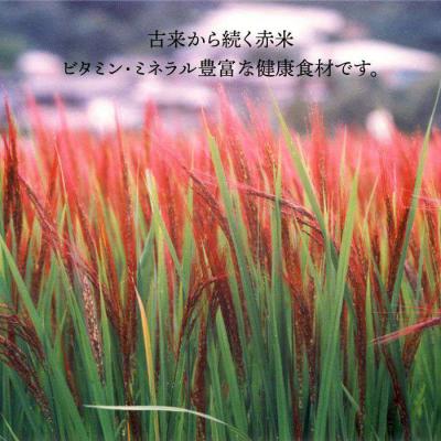 ふるさと納税 糸島市 赤米・黒米・雑穀米 健康ごはんのお米セット 糸島市/二丈赤米産直センター[ABB009]_1