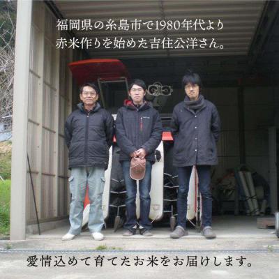 ふるさと納税 糸島市 赤米・黒米・雑穀米 健康ごはんのお米セット 糸島市/二丈赤米産直センター[ABB009]_2
