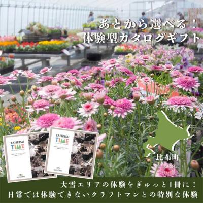 ふるさと納税 比布町 [体験型プランカタログギフト]TAISETSU TIME with CRAFTMAN