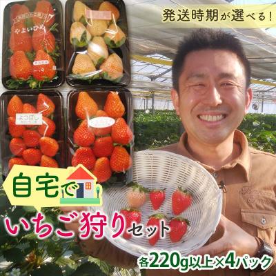 ふるさと納税 富岡市 自宅でいちご狩りセット&lt;淡雪・赤い苺3種類&gt;[2026年1月4日〜3月31日発送] F21E-248