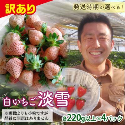 ふるさと納税 富岡市 <訳あり品> 群馬県産白イチゴ「淡雪」[2026年1月4日〜3月31日発送] F21E-252