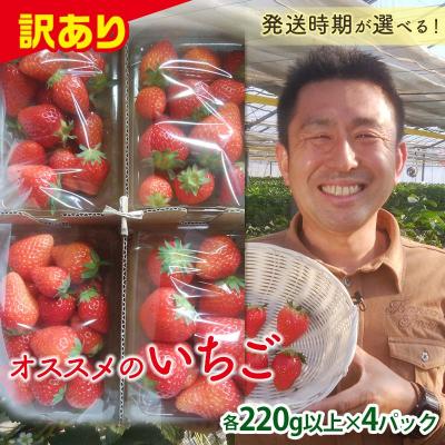 ふるさと納税 富岡市 <訳あり品>群馬県産オススメいちご 4品種[2026年3月1日〜5月15日発送] F21E-255
