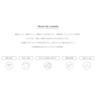 ふるさと納税 明和町 定期便10ヶ月 マイランドリー 詰替用×3個 ココナッツ|10_spb-110110bの画像