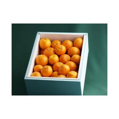 ふるさと納税 太良町 早津みかん園のクレメンティン 5kg N87 : さと