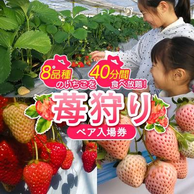 ふるさと納税 富岡市 <高田いちご園> 苺狩りペア入場券(2名様) F21E-083
