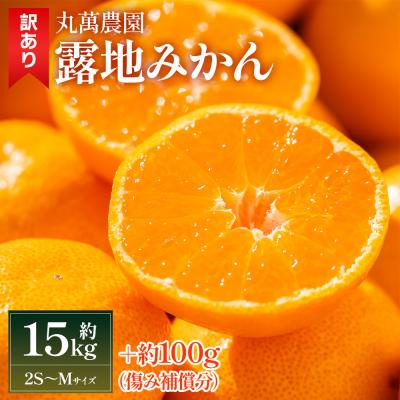 ふるさと納税 香南市 [2025年出荷分]訳あり みかん 15kg 小玉(2S〜Mサイズ)家庭用 丸萬農園 mn-0006